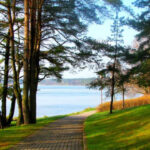 Sus Dolly Parton $1 depósito particulares sobre Mr Bet Casino: Confiable, Bonos Especiales así­ como Más profusamente