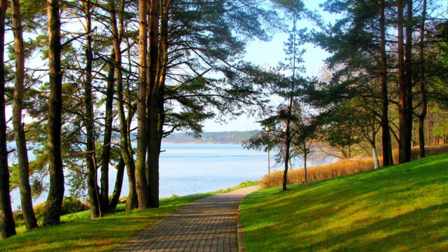 Sus Dolly Parton $1 depósito particulares sobre Mr Bet Casino: Confiable, Bonos Especiales así­ como Más profusamente