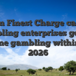 ten Finest Charge card Gambling enterprises getting Online gambling within the 2026