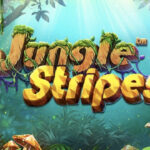 Thunderstruck video game: Gamble Microgaming Totally free Slot Game Online No Down load