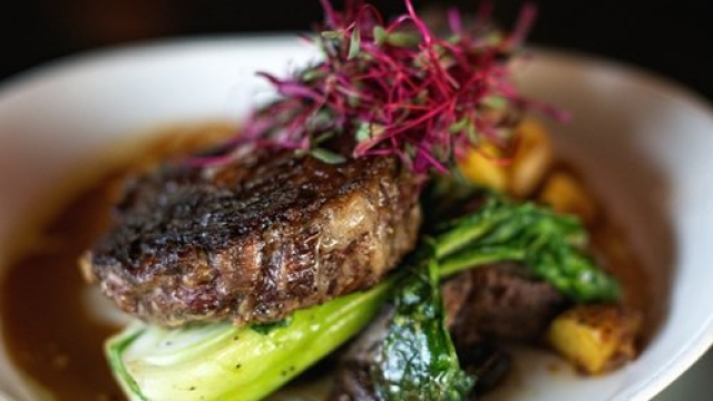 Totally free Ports Immediate Gamble 500+ Free online Slot Online game