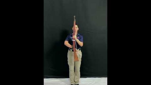 Twin Blades Guide and best Combinations in the Monster Hunter Wilds Monster Huntsman Wilds