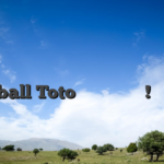 Παρουσίαση της επίσημης ιστοσελίδας του Football Toto Κάντε το τώρα! Ιστοσελίδα