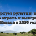 Виртуоз рулетки: как ловко играть и выигрывать с Вавада в 2026 году