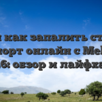 Где и как запалить ставки на спорт онлайн с Melbet в 2026: обзор и лайфхаки