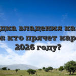 Загадка владения казино Сочи: кто прячет карты в 2026 году?