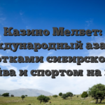 Казино Мелбет: международный азарт с нотками сибирского драйва и спортом на кону