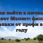 Как войти в личный кабинет Мелбет: фишки и лайфхаки от профи в 2026 году