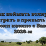 Как поймать волну и сыграть в прибыль на биткоин казино с Вавада в 2026-м