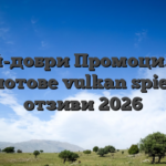 Най-добри Промоция за слотове vulkan spiele отзиви 2026