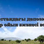 Үндістандағы депозитсіз құмар ойын бизнесі бонусы