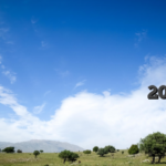 أفضل 15 لعبة كازينو تقدم دورات مجانية بدون إيداع، مع تطبيق شروط وأحكام المكافآت في عام 2026