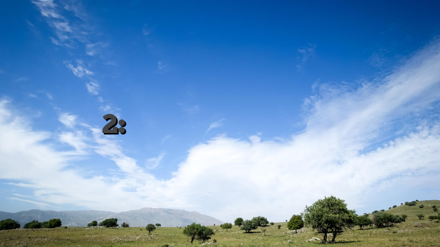 سفاري سام 2: ألعاب سلوتس مجانية بالكامل من بيتسوفت