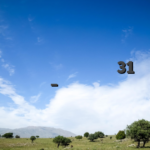 स्थानीय कैसीनो में बिना जमा राशि के 31 फ्री स्पिन का अवसर – अतिरिक्त बोनस