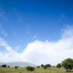 हार्ट लीगल डेमो गैंबल फ्री स्लॉट गेम