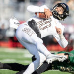 プリンセスクルーズ旅行：受賞歴のあるクルーズ旅行と販売