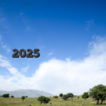 캐나다 2025년판 인터넷상 최고의 실제 현금 카지노