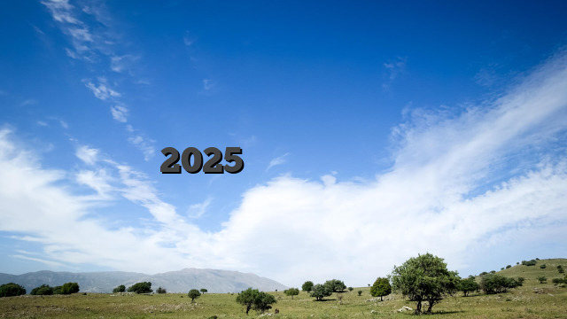 캐나다 2025년판 인터넷상 최고의 실제 현금 카지노