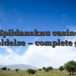 Spildansknu casino anmeldelse — complete guide