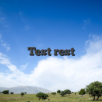 Test rest