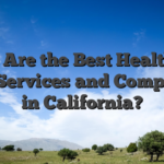 What Are the Best Healthcare SEO Services and Companies in California?