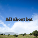 All about bet