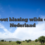 All about blazing wildz casino Nederland