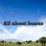 All about bonus