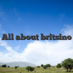 All about britsino