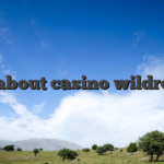 All about casino wildrobin