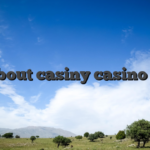 All about casiny casino login