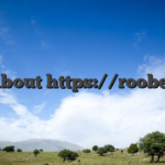 All about https://roobet.rs/