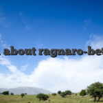 All about ragnaro-bet.nl