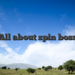 All about spin boss