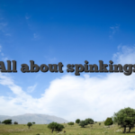 All about spinkings