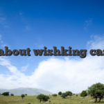 All about wishking casino