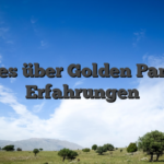 Alles über Golden Panda Erfahrungen