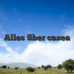Alles über casea