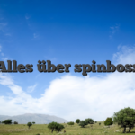 Alles über spinboss
