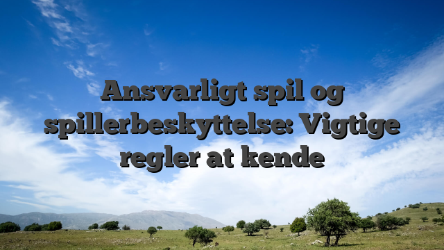 Ansvarligt spil og spillerbeskyttelse: Vigtige regler at kende