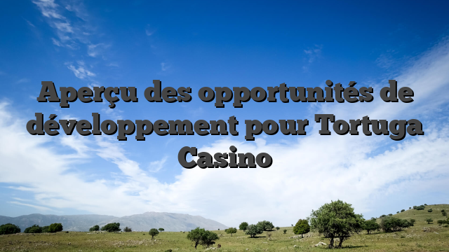 Aperçu des opportunités de développement pour Tortuga Casino