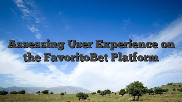 Assessing User Experience on the FavoritoBet Platform