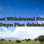 BDMbet Withdrawal Stuck for Days: Plan działań
