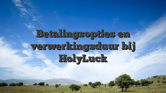 Betalingsopties en verwerkingsduur bij HolyLuck