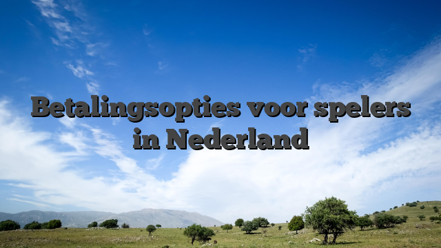 Betalingsopties voor spelers in Nederland