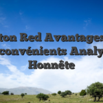 Beton Red Avantages et Inconvénients Analyse Honnête