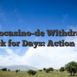 Bizzocasino-de Withdrawal Stuck for Days: Action Plan