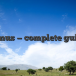 Bonus — complete guide