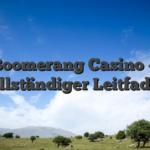 Boomerang Casino — vollständiger Leitfaden