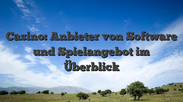 Casino: Anbieter von Software und Spielangebot im Überblick